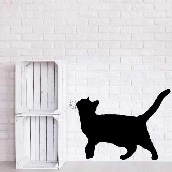 Image of Watchful Cat Decal