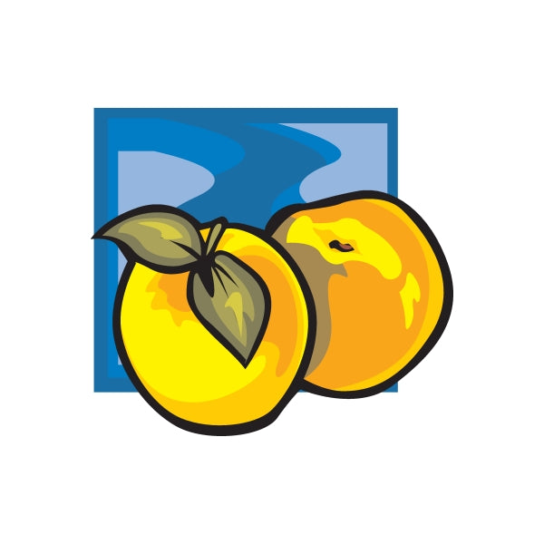 Image of Yellow Apple Sticker