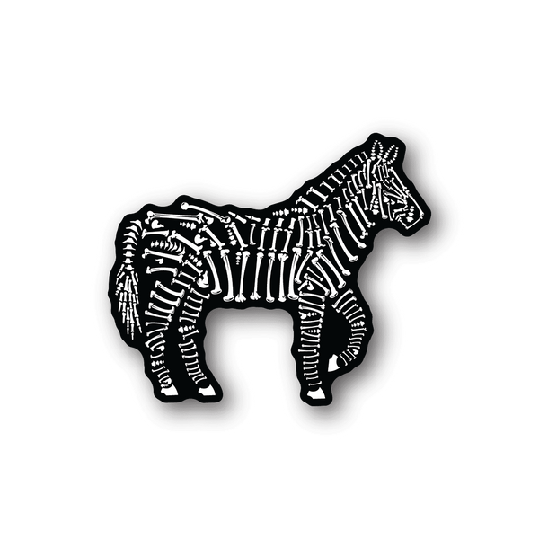 Zebra bones vinyl sticker with white skeleton print on dark backing