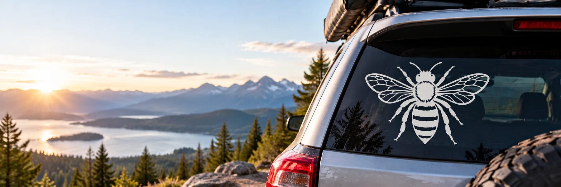 Illustrative Bee Decals vinyl application in a realistic panoramic lifestyle scene.