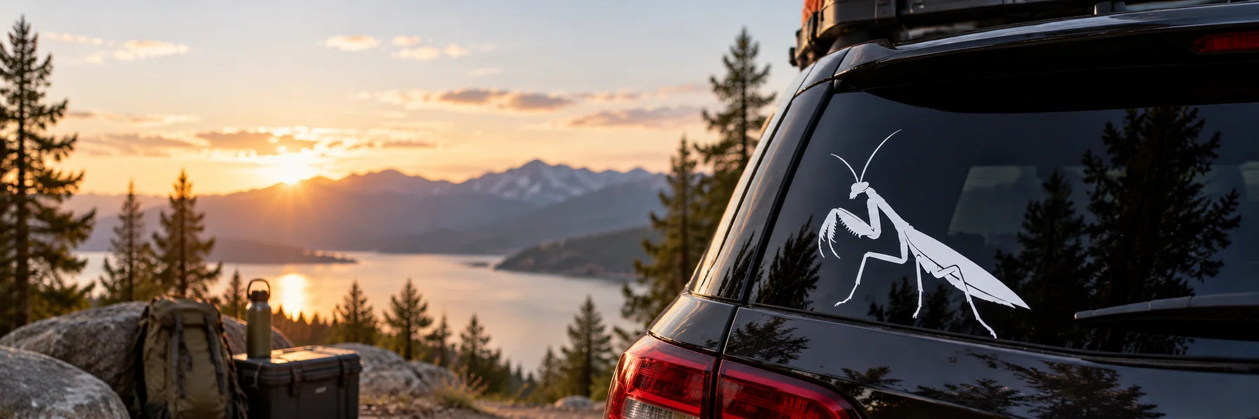 Illustrative Praying Mantis Decals vinyl application in a realistic panoramic lifestyle scene.